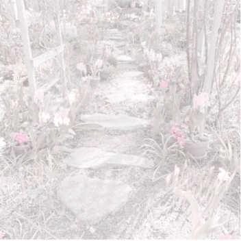  ♡ 𝕗𝕒𝕚𝕣𝕪𝕔𝕠𝕣𝕖 ♡
