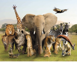 *~Savannah's Warriors~*