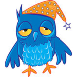 The Owl Team Forever