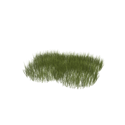 Light Grass