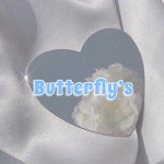 -|Butterfly’s|-
