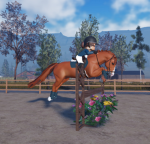 Nature Equine Riding Academy...