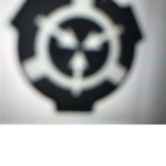 입양 SCP재단
