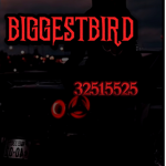 ム BIGGESTBIRD