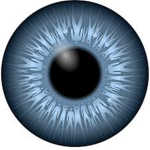 Intelligence and Protection Bureau