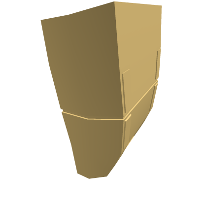 left shieldAccessory
