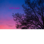 Jeff Land