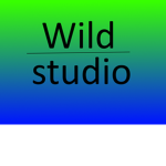 ColtRunsWild studio