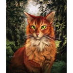 WarriorsCats clan