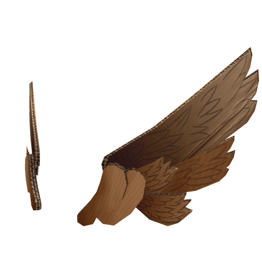 Recycled Wings