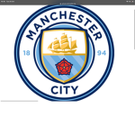 Manchester City Professional Football Association
