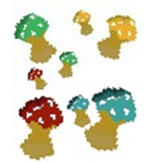 Mushroom Wizards