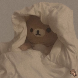 °Teddy's City°