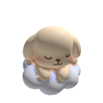 Cute dog