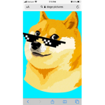 doge fan club!!!!!!!
