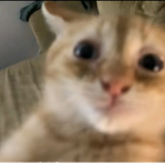allf;;