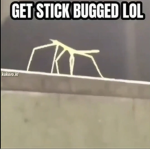 Stick bug lol Group
