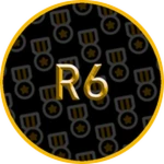 10. R6