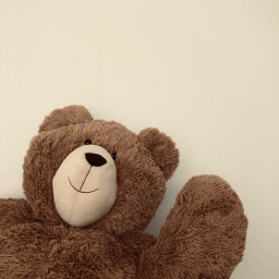 🧸