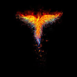 iiFirePhoenix Group