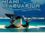 ~* Miami Sea Aquarium *~