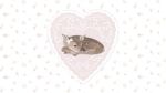 sophi's sweethearts