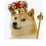 Army Doge's
