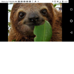 Found Fresh Food In Meh Bedroom