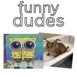 funny dudes but its multiplayer