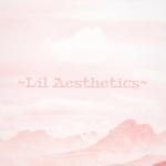 ~Lil Aesthetics~
