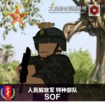 PLASOF :‖People's Liberation Army Special Forces