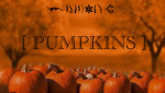 [ PUMPK1NS ]
