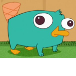 PERRY GROUP!!!