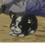 Duke 私は死にたい