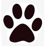Kitty Board