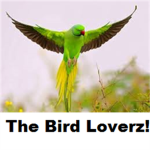 the bird loverz!