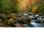 Ro Nature