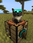 YAMAN_BLOX GROUP