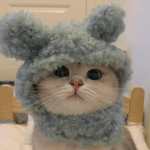 !!meowie