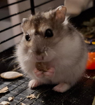 Itzz Milly#muffin_2015