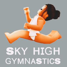 Sky High Gym!