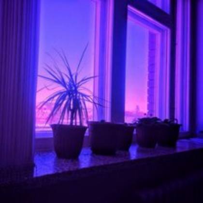 purple aesthetic Roblox decal