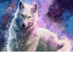 galaxy-cub-pack