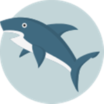 Shark Developer.