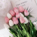 . ~ t u l i p s ~ .