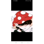 We like mushroom's