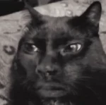 UGC emote group Group Thumbnail