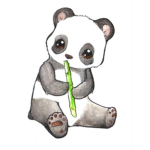 Pandaaa group