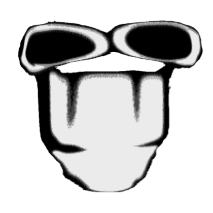 Stupid-1 Roblox decal