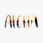 ⁓•a l o é•⁓